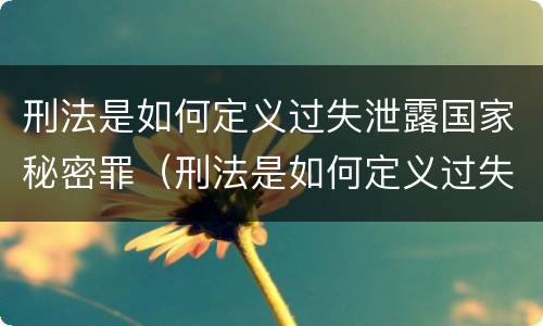 刑法是如何定义过失泄露国家秘密罪（刑法是如何定义过失泄露国家秘密罪名的）