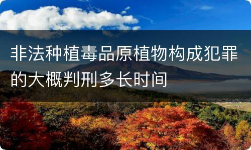 非法种植毒品原植物构成犯罪的大概判刑多长时间