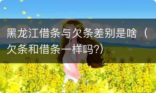 黑龙江借条与欠条差别是啥（欠条和借条一样吗?）