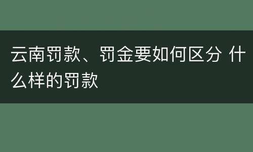 云南罚款、罚金要如何区分 什么样的罚款