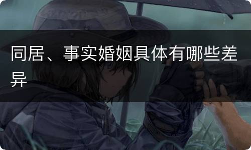 同居、事实婚姻具体有哪些差异