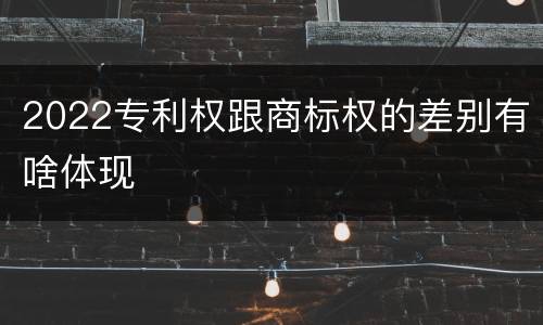 2022专利权跟商标权的差别有啥体现