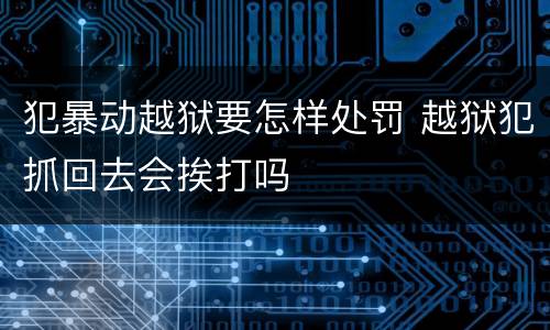 犯暴动越狱要怎样处罚 越狱犯抓回去会挨打吗