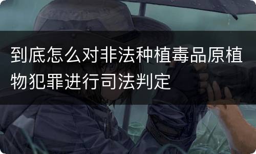 到底怎么对非法种植毒品原植物犯罪进行司法判定