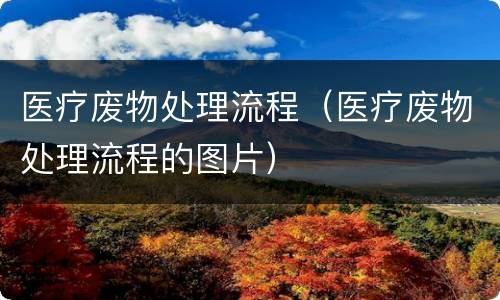 医疗废物处理流程（医疗废物处理流程的图片）