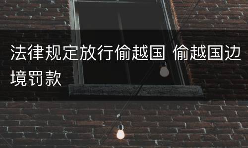 法律规定放行偷越国 偷越国边境罚款