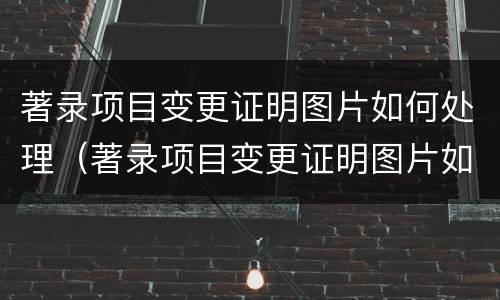著录项目变更证明图片如何处理（著录项目变更证明图片如何处理掉）