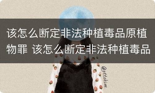 该怎么断定非法种植毒品原植物罪 该怎么断定非法种植毒品原植物罪行