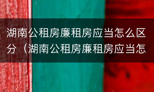 湖南公租房廉租房应当怎么区分（湖南公租房廉租房应当怎么区分的）