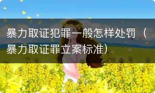 暴力取证犯罪一般怎样处罚（暴力取证罪立案标准）