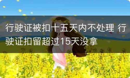 行驶证被扣十五天内不处理 行驶证扣留超过15天没拿