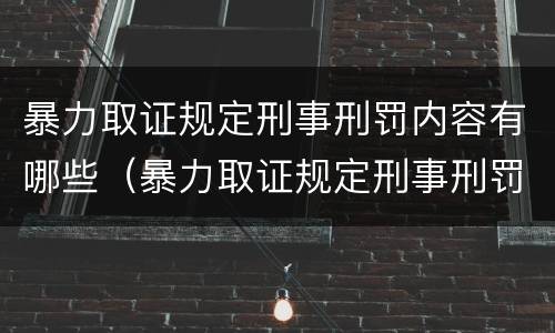 暴力取证规定刑事刑罚内容有哪些（暴力取证规定刑事刑罚内容有哪些要求）