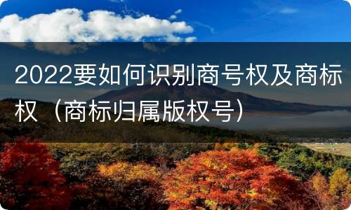 2022要如何识别商号权及商标权（商标归属版权号）