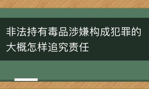 非法持有毒品涉嫌构成犯罪的大概怎样追究责任