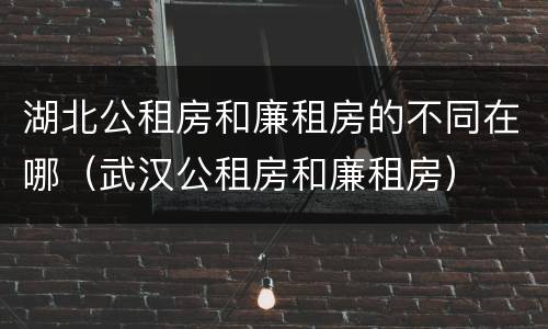 湖北公租房和廉租房的不同在哪（武汉公租房和廉租房）