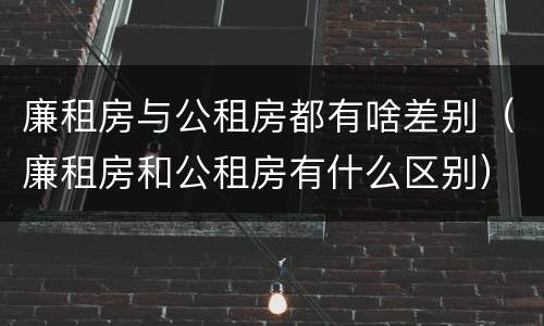 廉租房与公租房都有啥差别（廉租房和公租房有什么区别）