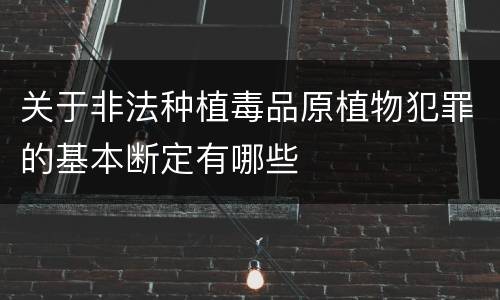 关于非法种植毒品原植物犯罪的基本断定有哪些