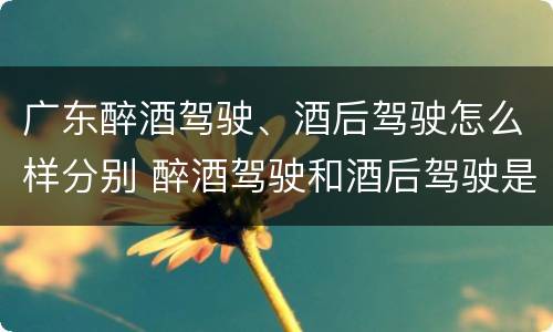 广东醉酒驾驶、酒后驾驶怎么样分别 醉酒驾驶和酒后驾驶是怎么区分的