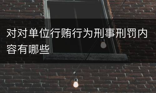 对对单位行贿行为刑事刑罚内容有哪些