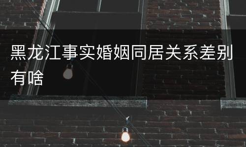 黑龙江事实婚姻同居关系差别有啥