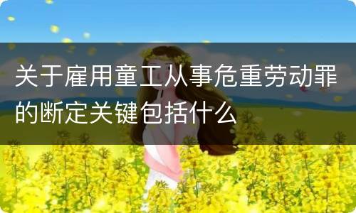 关于雇用童工从事危重劳动罪的断定关键包括什么