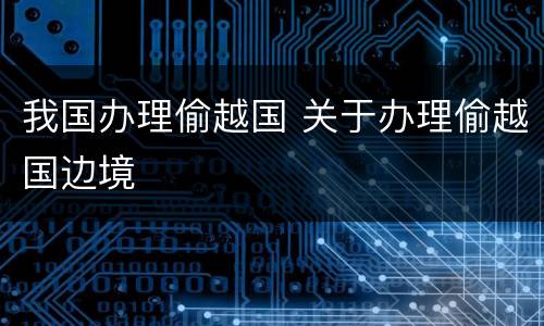 我国办理偷越国 关于办理偷越国边境