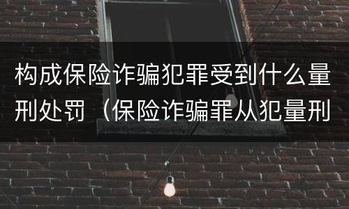 构成保险诈骗犯罪受到什么量刑处罚（保险诈骗罪从犯量刑标准）