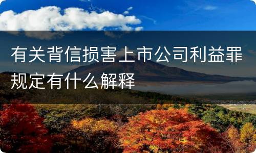 有关背信损害上市公司利益罪规定有什么解释