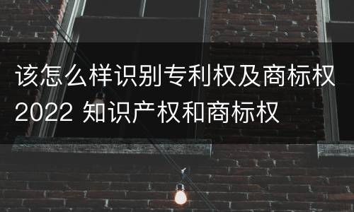 该怎么样识别专利权及商标权2022 知识产权和商标权