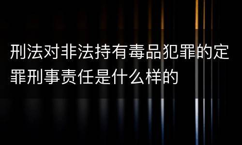 刑法对非法持有毒品犯罪的定罪刑事责任是什么样的