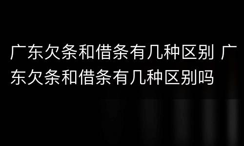 广东欠条和借条有几种区别 广东欠条和借条有几种区别吗