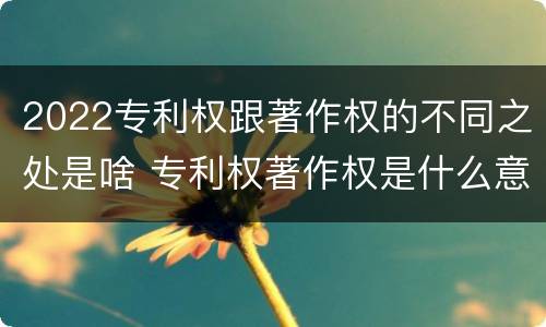 2022专利权跟著作权的不同之处是啥 专利权著作权是什么意思