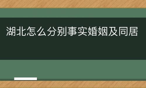 湖北怎么分别事实婚姻及同居