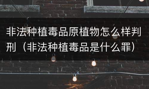 非法种植毒品原植物怎么样判刑（非法种植毒品是什么罪）