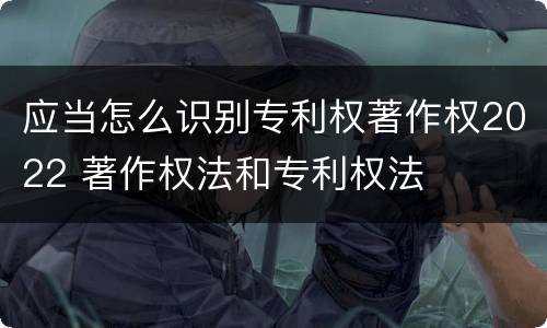 应当怎么识别专利权著作权2022 著作权法和专利权法