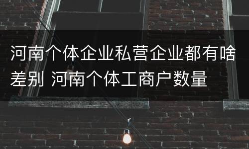 河南个体企业私营企业都有啥差别 河南个体工商户数量