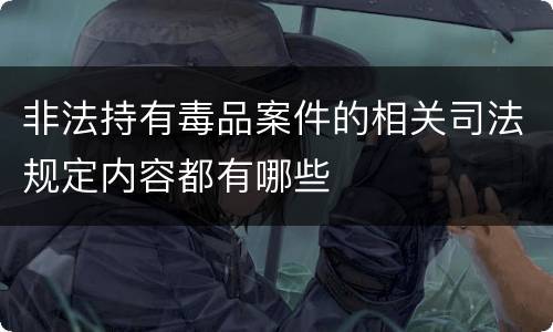 非法持有毒品案件的相关司法规定内容都有哪些