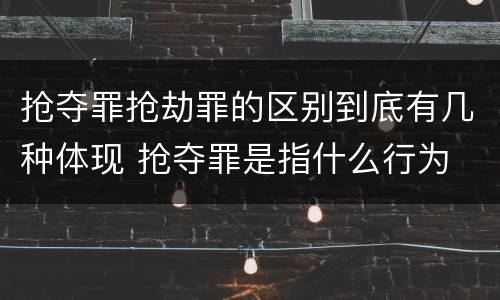 抢夺罪抢劫罪的区别到底有几种体现 抢夺罪是指什么行为