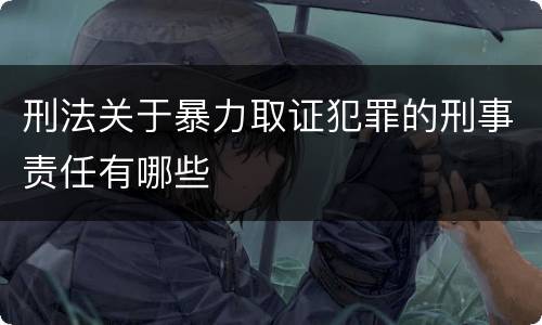 刑法关于暴力取证犯罪的刑事责任有哪些