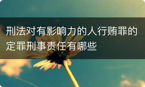 刑法对有影响力的人行贿罪的定罪刑事责任有哪些