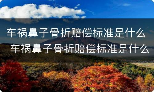 车祸鼻子骨折赔偿标准是什么 车祸鼻子骨折赔偿标准是什么样的