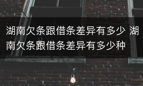 湖南欠条跟借条差异有多少 湖南欠条跟借条差异有多少种