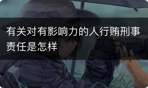有关对有影响力的人行贿刑事责任是怎样
