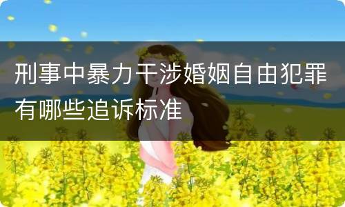 刑事中暴力干涉婚姻自由犯罪有哪些追诉标准