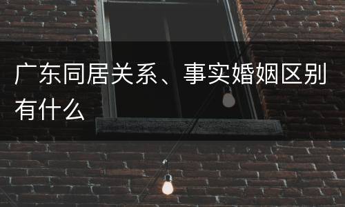广东同居关系、事实婚姻区别有什么