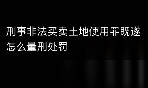 刑事非法买卖土地使用罪既遂怎么量刑处罚