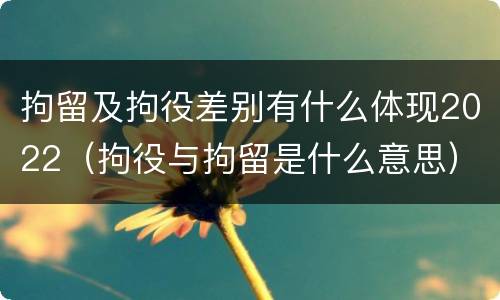 拘留及拘役差别有什么体现2022（拘役与拘留是什么意思）