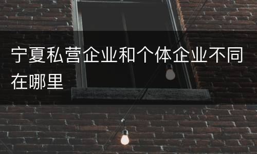 宁夏私营企业和个体企业不同在哪里