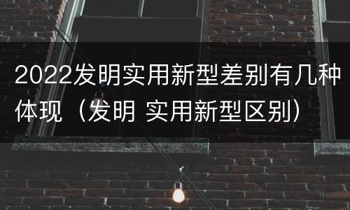 2022发明实用新型差别有几种体现（发明 实用新型区别）