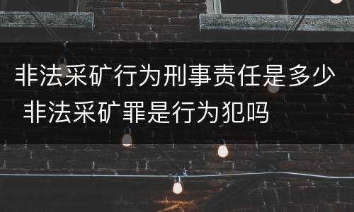 非法采矿行为刑事责任是多少 非法采矿罪是行为犯吗